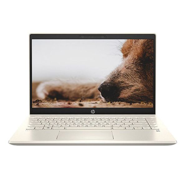 Laptop HP Pavilion 14 (i5-1135G7/ 8Gb/ 512GB SSD/ 14FHD/ VGA ON/ Win11/ Gold)