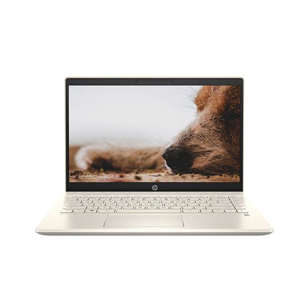 Laptop HP Pavilion 14-dv0507TU i7-1165G7/8G/512G/14''