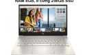 Laptop HP Pavilion 14-dv0517TU i5-1135G7/8G/256G/14''