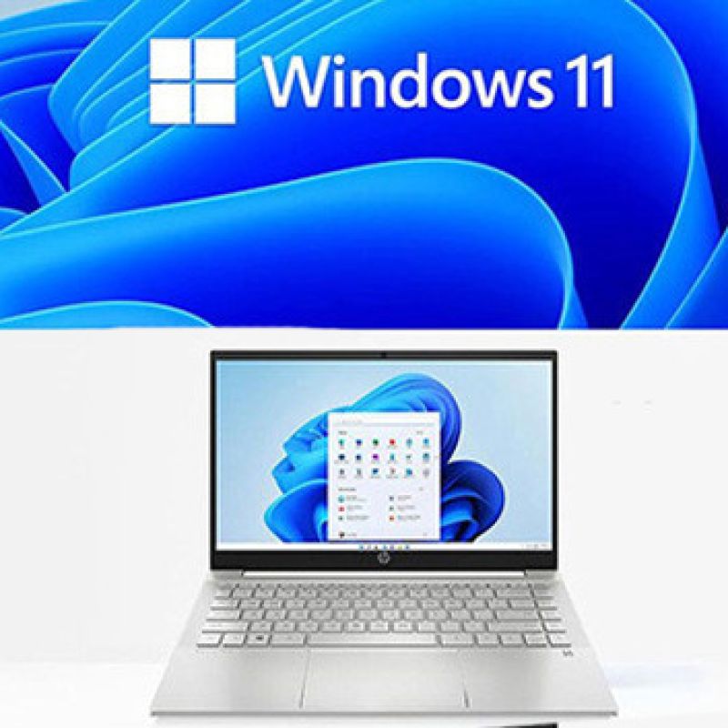 MÁY TÍNH HP 240 G8 i3-1005G1/4GD4/256GSSD/14.0FHD/W11SL